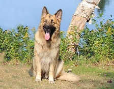 miracles-rocco(2)