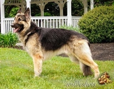 orchardhills-mojo-2