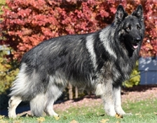 ridgewood-cash(4)