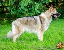 rivercrest-hattie2