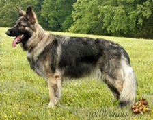 rivercrest-maggie