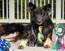 AWARDS-ANNUAL