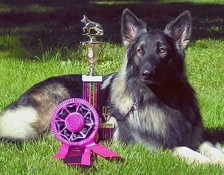 AWARDS-CH-TALLY