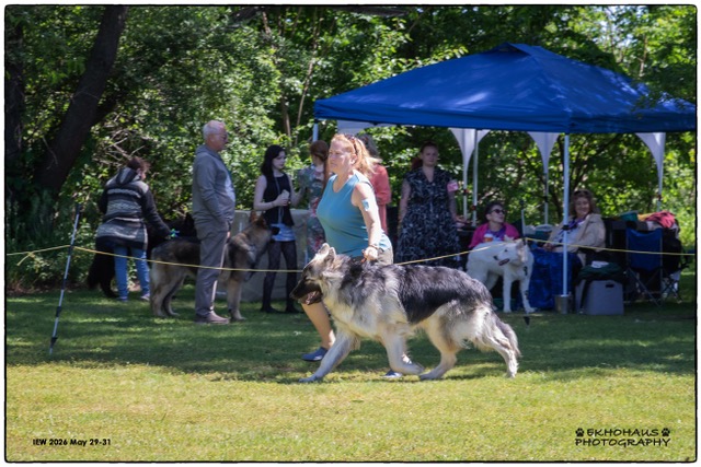 OE2A9389 show 3 mindy and torben jr male